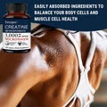 Creatine Monohydrate 3000mg Capsules for Athletes, Pre-Workout Focus &amp; Memory Support, Fast-Absorbing, Easy-to-Swallow