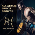 Chocolate Whey Protein Powder 100% Whey Protein Supplement Enhanced Muscle Builder & Recovery Protein with Digestive Enzymes