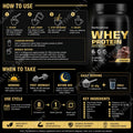Chocolate Whey Protein Powder 100% Whey Protein Supplement Enhanced Muscle Builder & Recovery Protein with Digestive Enzymes