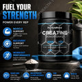 Creatine Monohydrate Powder for Muscle Support, Workout Performance &amp; Recovery, Bulk 500g Value Size, 1-3 Bottle Options