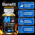 HOLUCKS Creatine Monohydrate Supplement for Workout Energy &amp; Muscle Growth, Budget Multi-Bottle Bundles, 60-120 Count