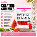 Creatine Monohydrate Gummies 2000mg with Vitamin B12, L-Tyrosine &amp; L-Theanine for Energy &amp; Focus, Pill-Free Fitness Training Support, 90 Count