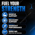 Creatine Monohydrate Powder for Muscle Support, Workout Performance &amp; Recovery, Bulk 500g Value Size, 1-3 Bottle Options