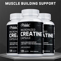 Creatine Monohydrate Capsules for Lean Muscle, Endurance &amp; Muscle Health, Non-GMO Support for Active Adults, 30-120 Count