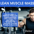 Everyday Creatine Monohydrate Capsules for Beginners &amp; Gym-Goers, Muscle Mass and Athletic Performance Support, Non-GMO, Gluten-Free, 30-120 Count