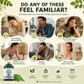 Premium Moringa 6000mg Green Superfood Daily Vitality Plant Nutrition Quick Release Capsules 240 Capsules