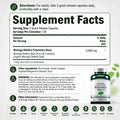 Premium Moringa 6000mg Green Superfood Daily Vitality Plant Nutrition Quick Release Capsules 240 Capsules