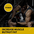 Chocolate Whey Protein Powder 100% Whey Protein Supplement Enhanced Muscle Builder & Recovery Protein with Digestive Enzymes