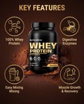 Key features breakdown